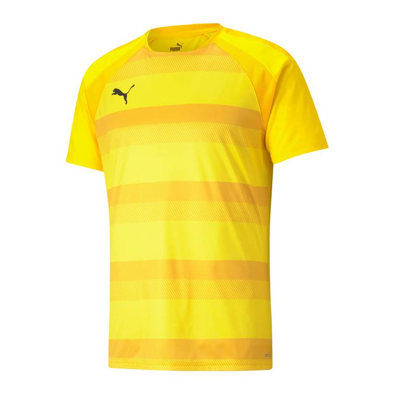 PUMA teamVISION Trikot Trikot Herren