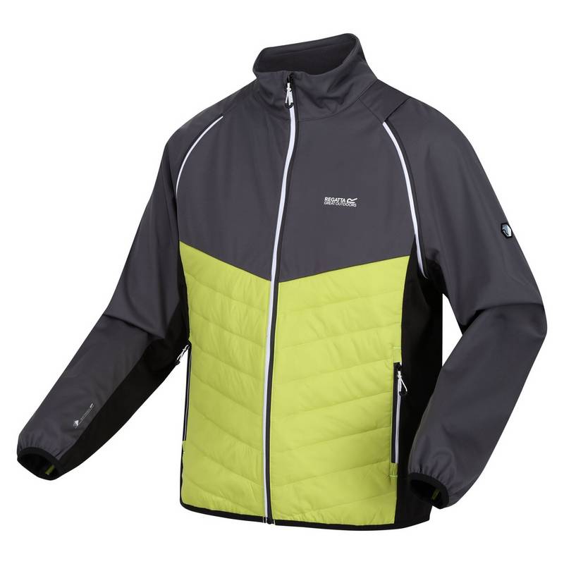 Regatta Steren Funktionsjacke Herren