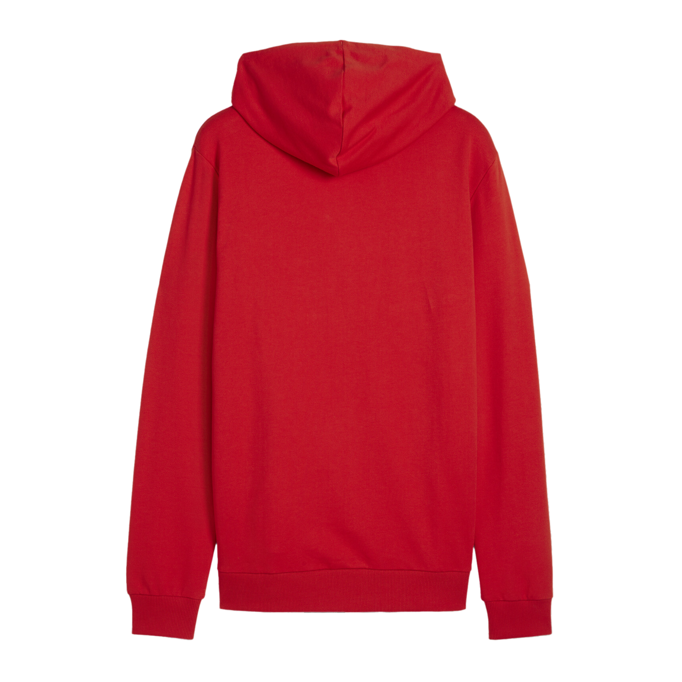 PUMA teamGOAL Casuals Hoody Rot F01