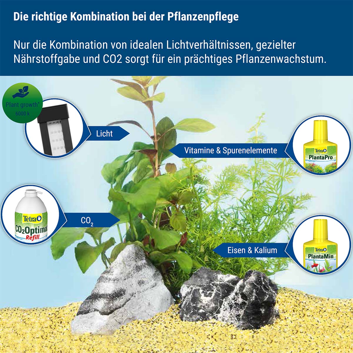 Tetra CO2-Optimat günstig kaufen