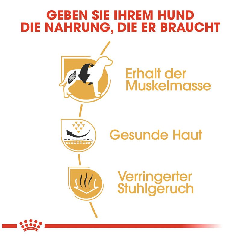 Royal Canin French Bulldog Adult zu TOP-Preisen