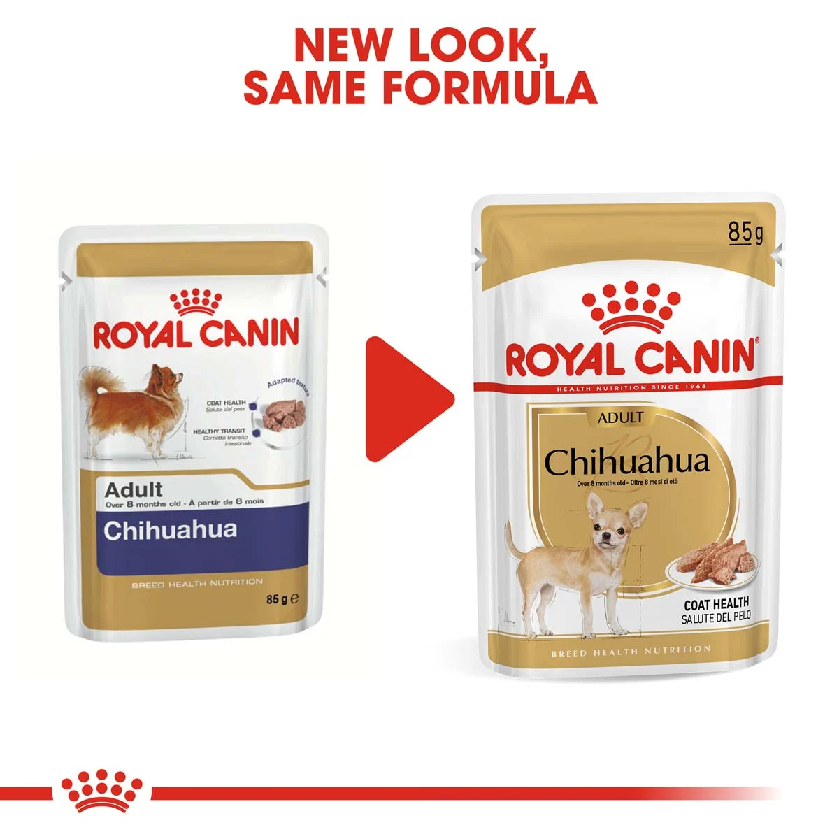 ROYAL CANIN Chihuahua Adult Hundefutter nass 12x85g bei ZooRoyal