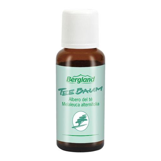 TEEBAUM ÖL  30 ml  Öl