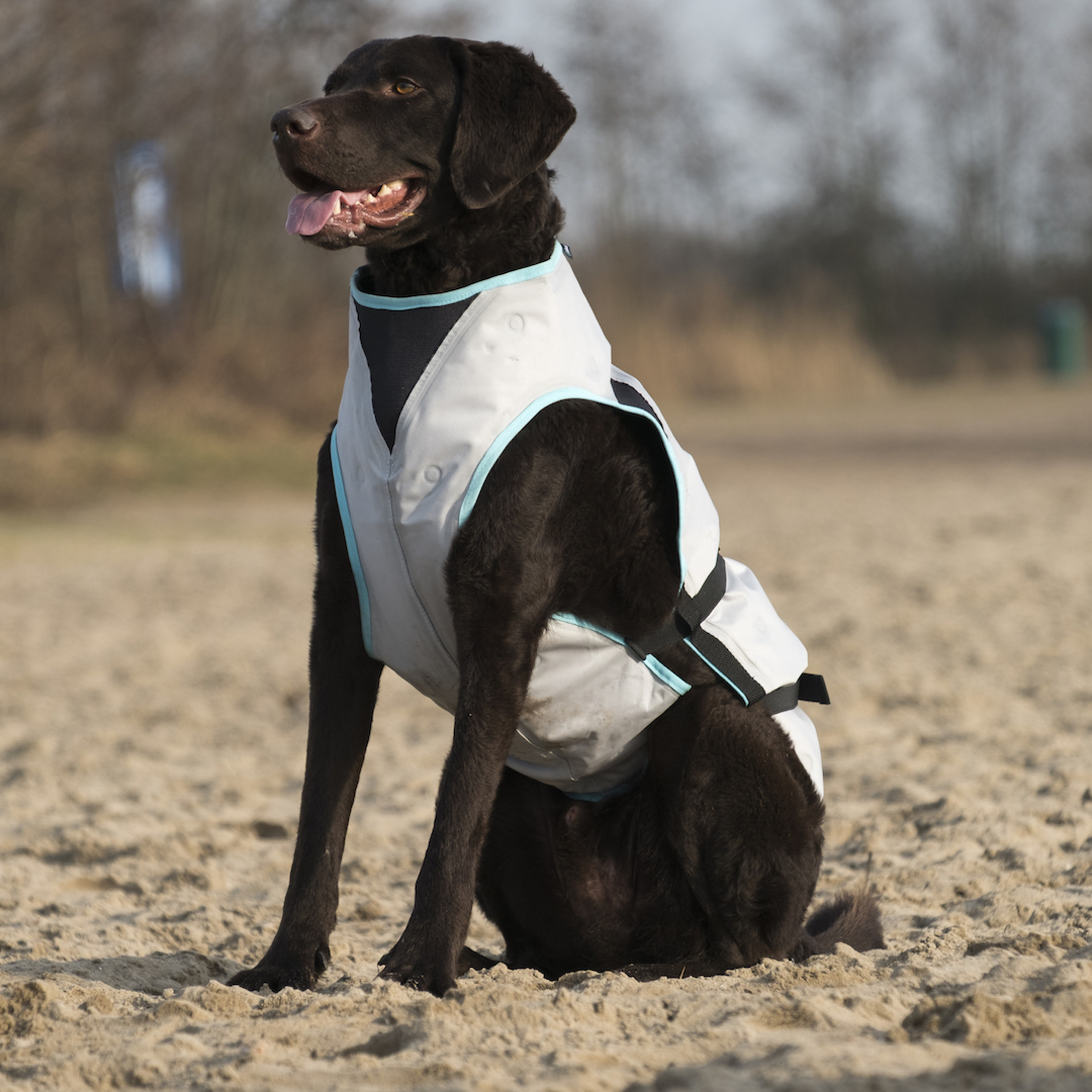 Trovet Hundewesten Trovet Suitical Kühlweste Dry Cool XL