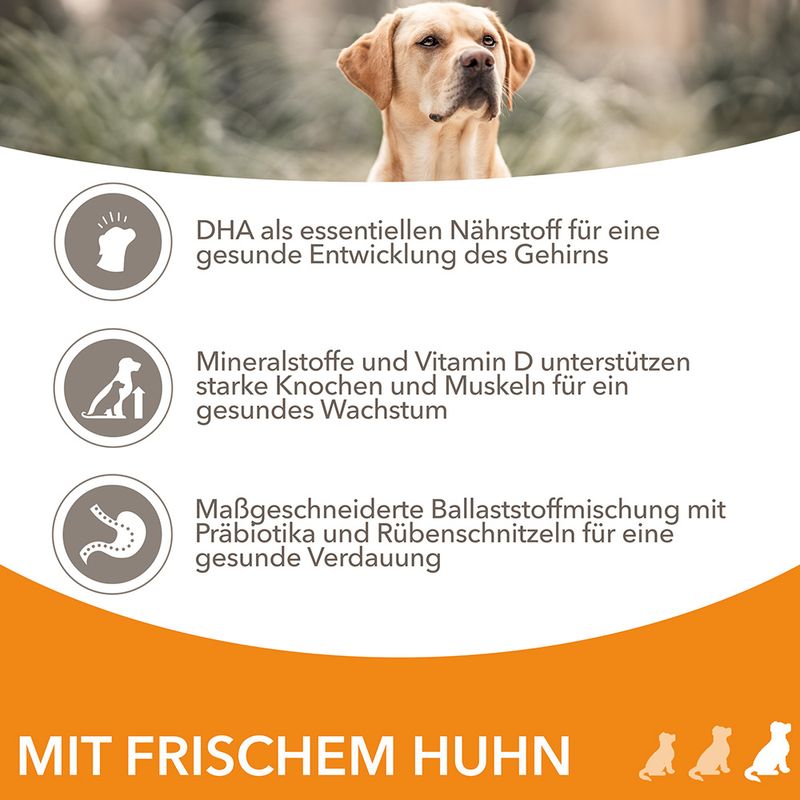 IAMS Advanced Nutrition Puppy Large mit Huhn