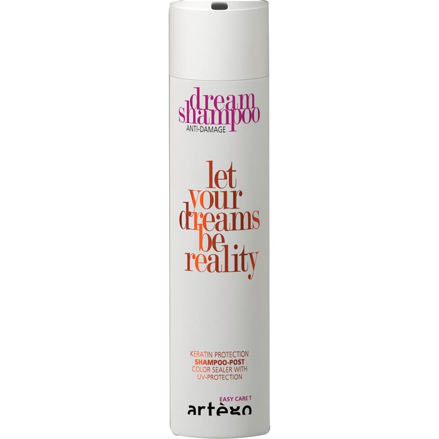 Dream Shampoo