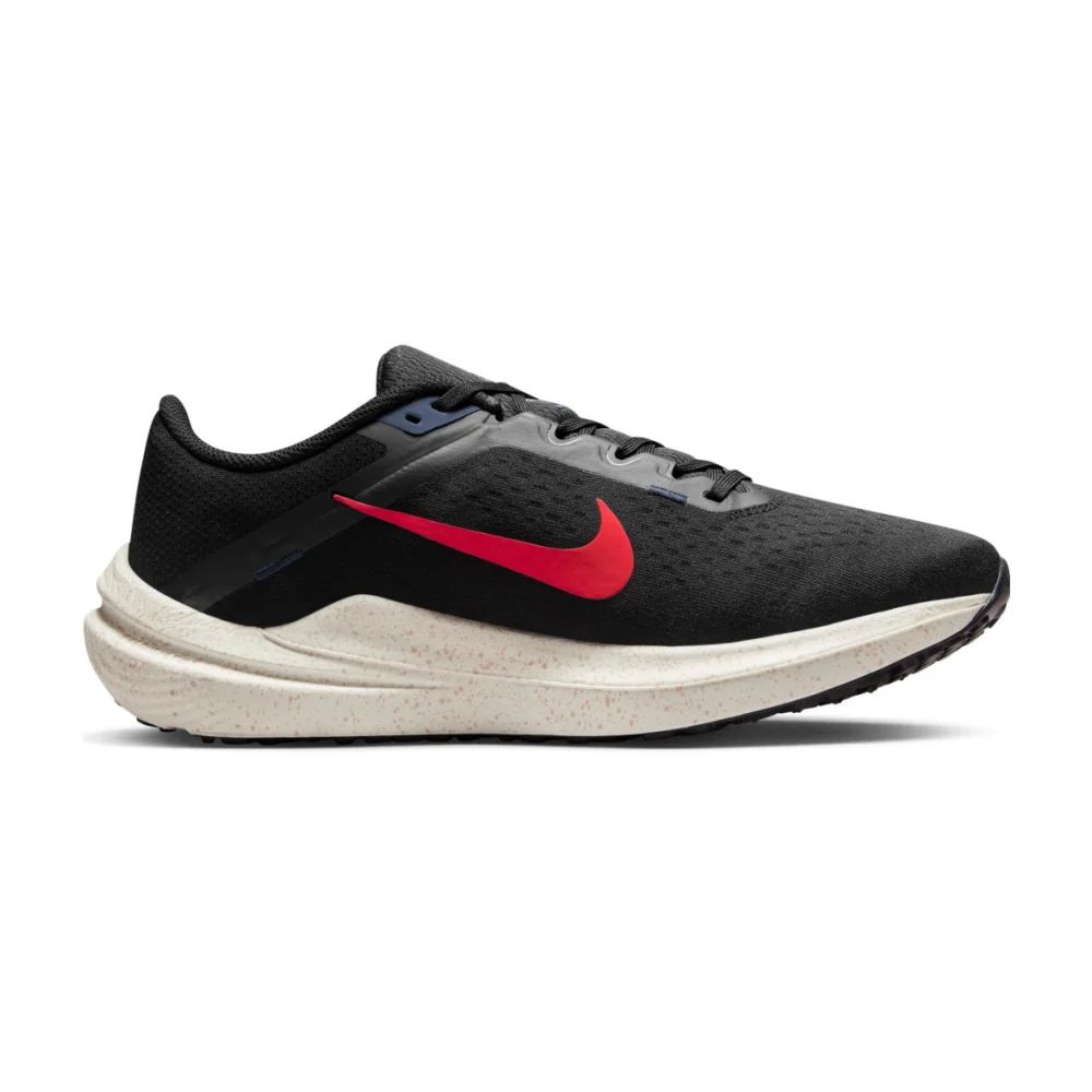 Nike Air Winflo 10 DV4022-002 / schwarz