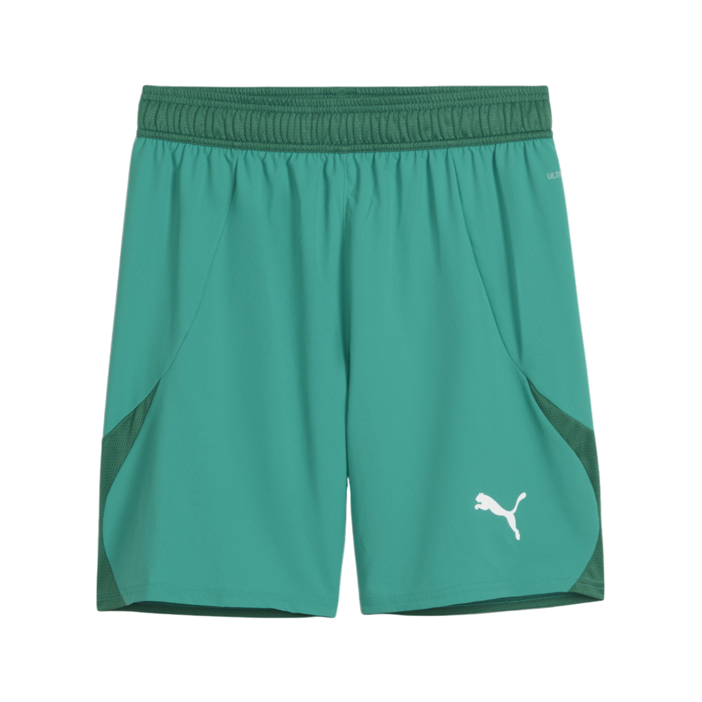 PUMA teamFINAL Short Grün Weiss Grün F05