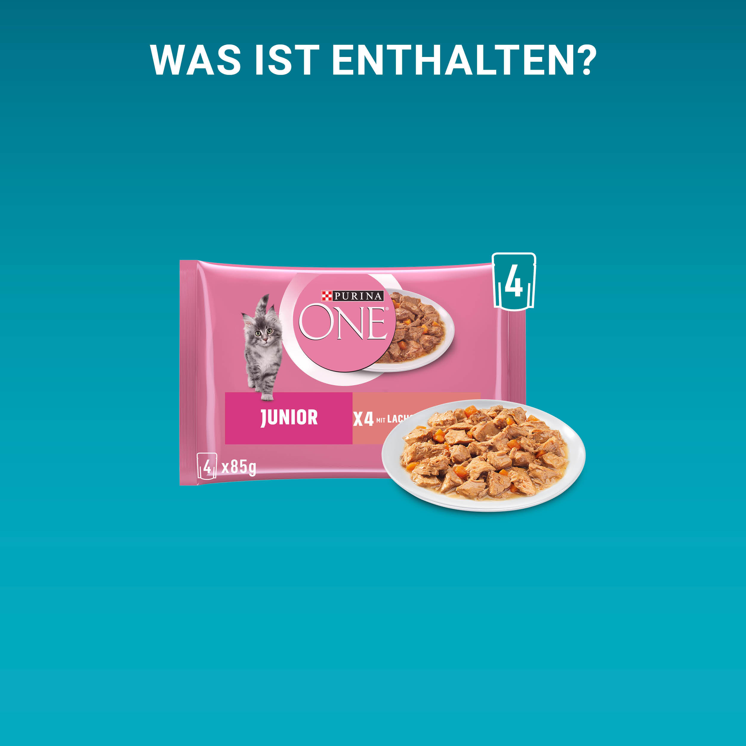 Purina ONE Nassfutter Purina ONE Junior Kittenfutter nass zarte Stückchen in Sauce Lachs 48x85g