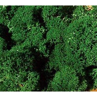 Islandmoos dunkelgrün 30 g