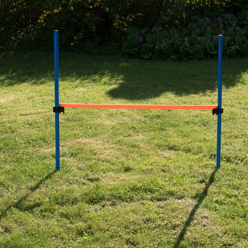 Agility Fun & Sport Komplett-Set zu TOP-Preisen