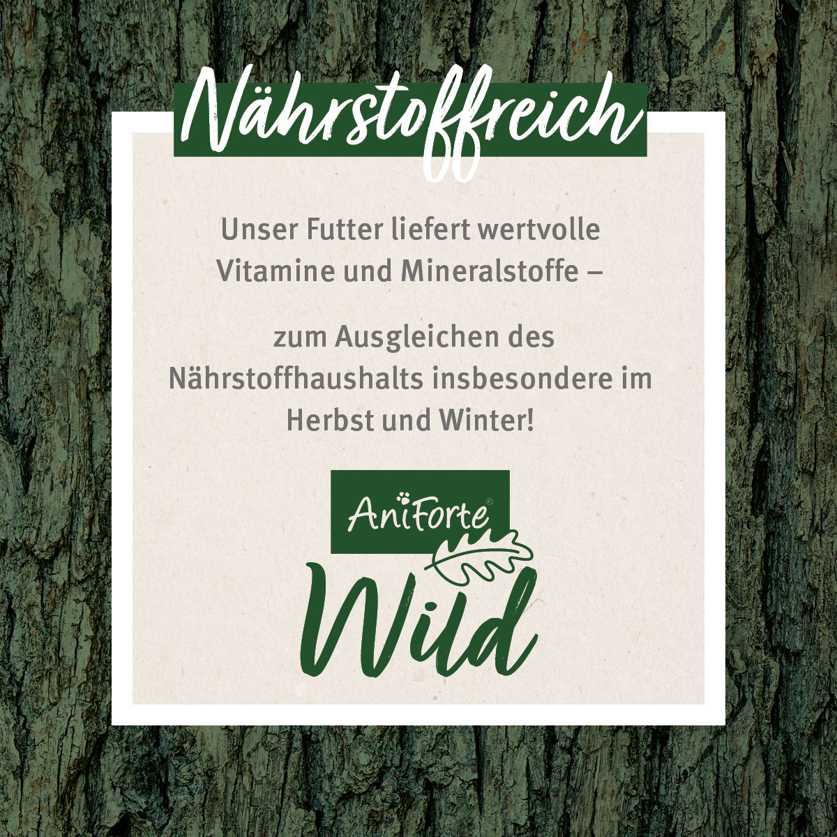 Aniforte Eichhörnchen Aniforte Eichhörnchenfutter 1 kg