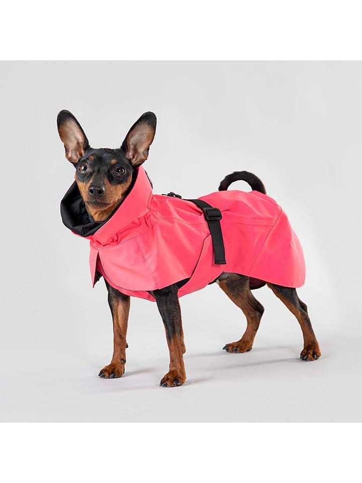 Paikka Visibility-Hunderegenmantel in Pink günstig kaufen