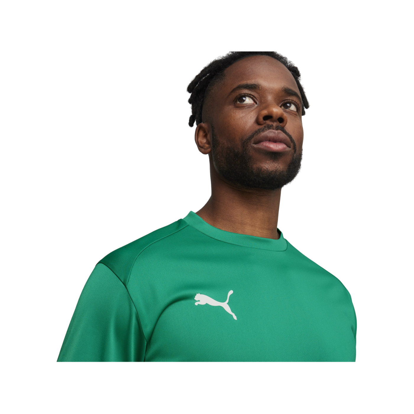 PUMA teamGOAL Training Sweatshirt Grün F05
