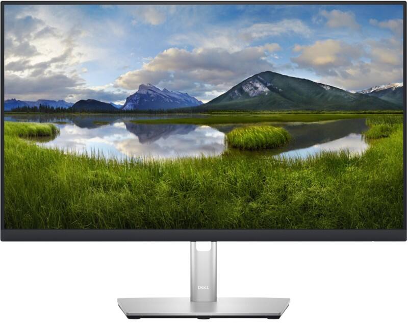 Dell LED-Monitor P2423DE 6,1 cm (2,4