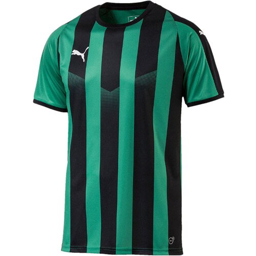 FUSSBALL - TEAMSPORT TEXTIL - TRIKOTS LIGA STRIPED TRIKOT KURZARM