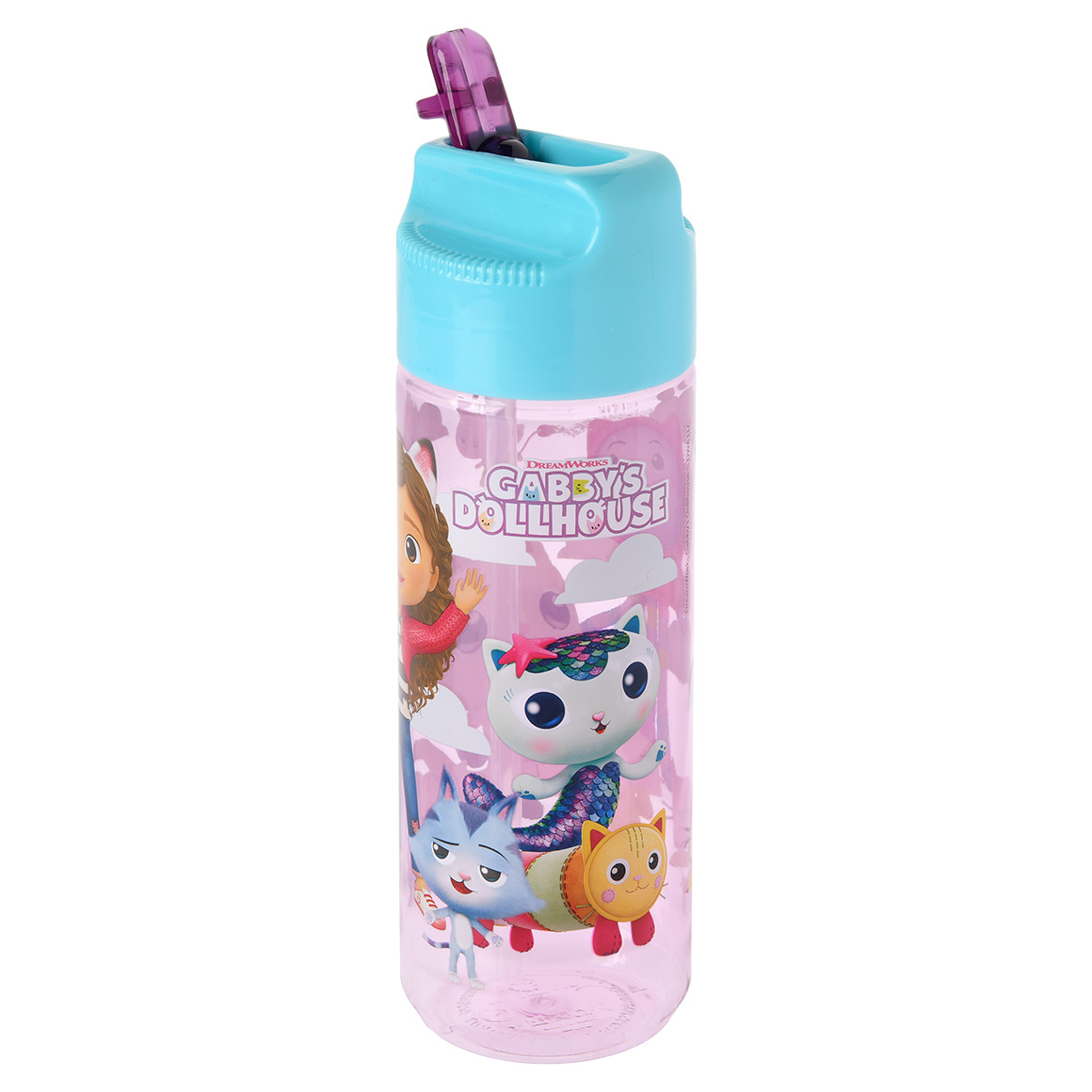 Gabby's Dollhouse Trinkflasche ca. 540 ml