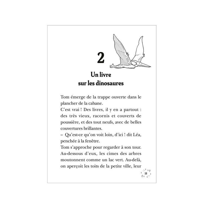 Livre La cabane magique T1 - Bayard Jeunesse