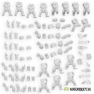 Kromlech Champi-Orcs! Team (16)