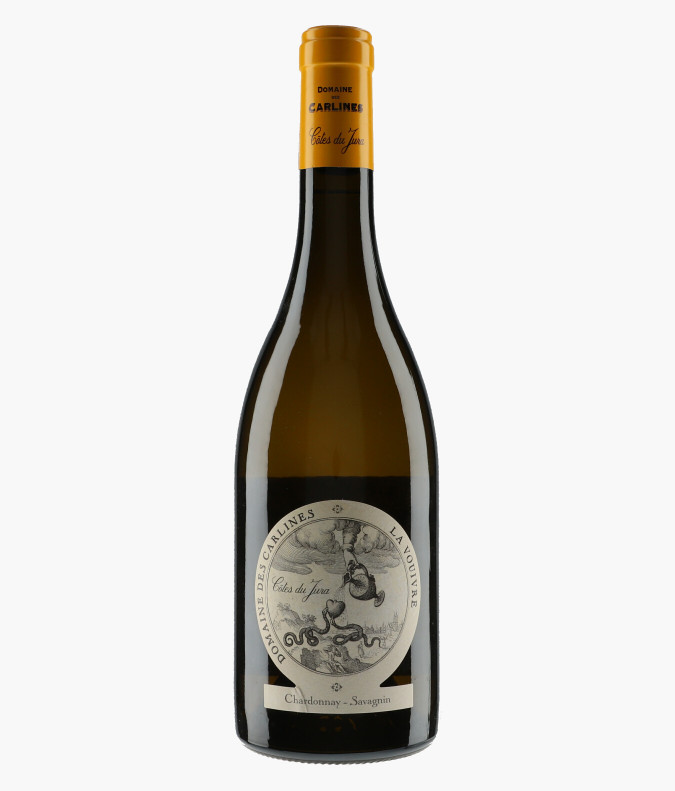 Côte du Jura La Vouivre 2018CARLINES