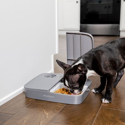 PetSafe® Futterautomat für 2 Mahlzeiten