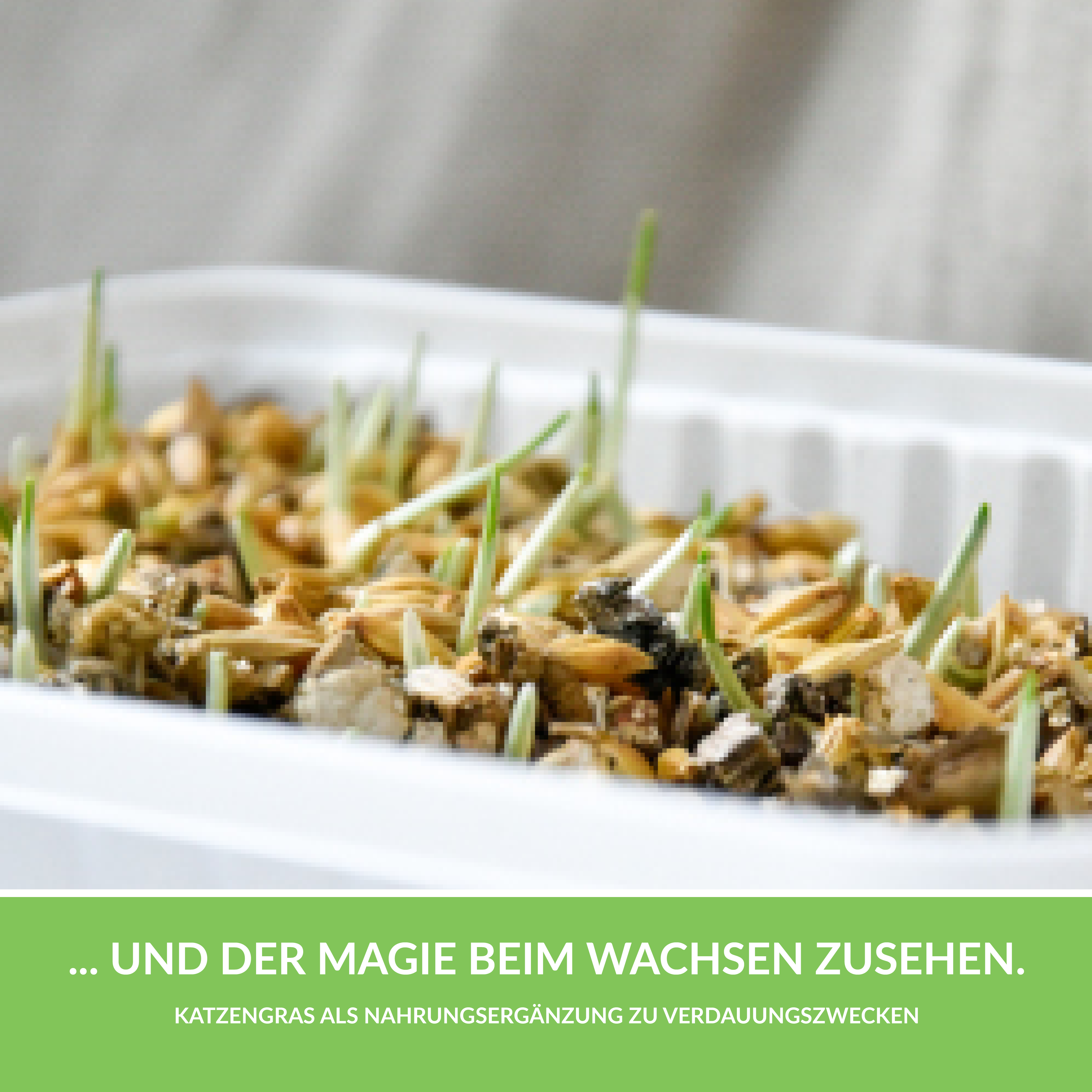 GimCat Ergänzungsfutter & Aufzucht GimCat Softgras 100g