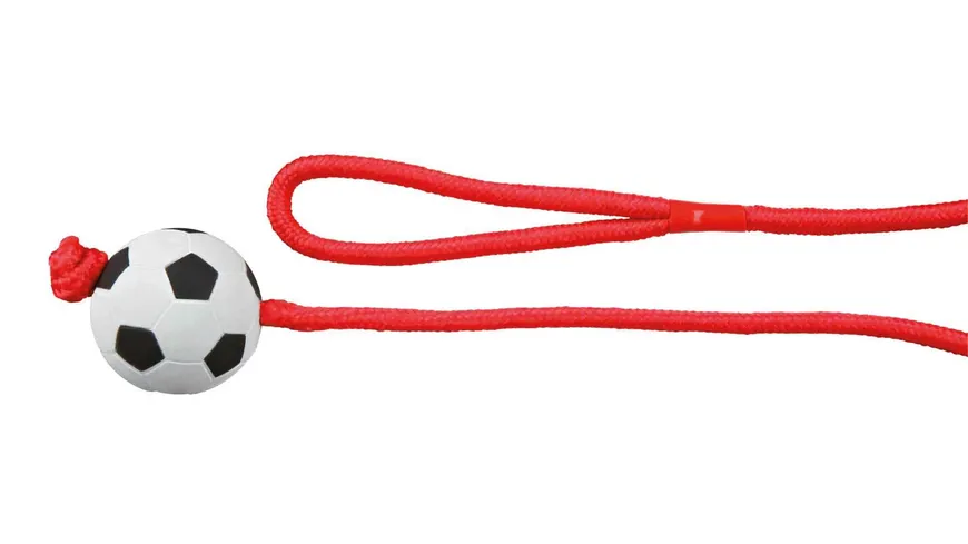 Trixie Moosgummi Fußball am Seil ø 6 cm / 1,00 m Hunde Spielzeug