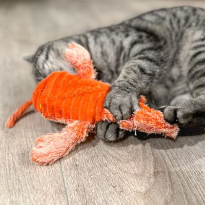 Aumüller Lucky Lobster Zappel-Hummer