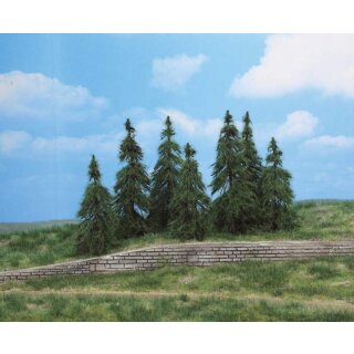 Modelltannen 7-11 cm (7 Stk.)