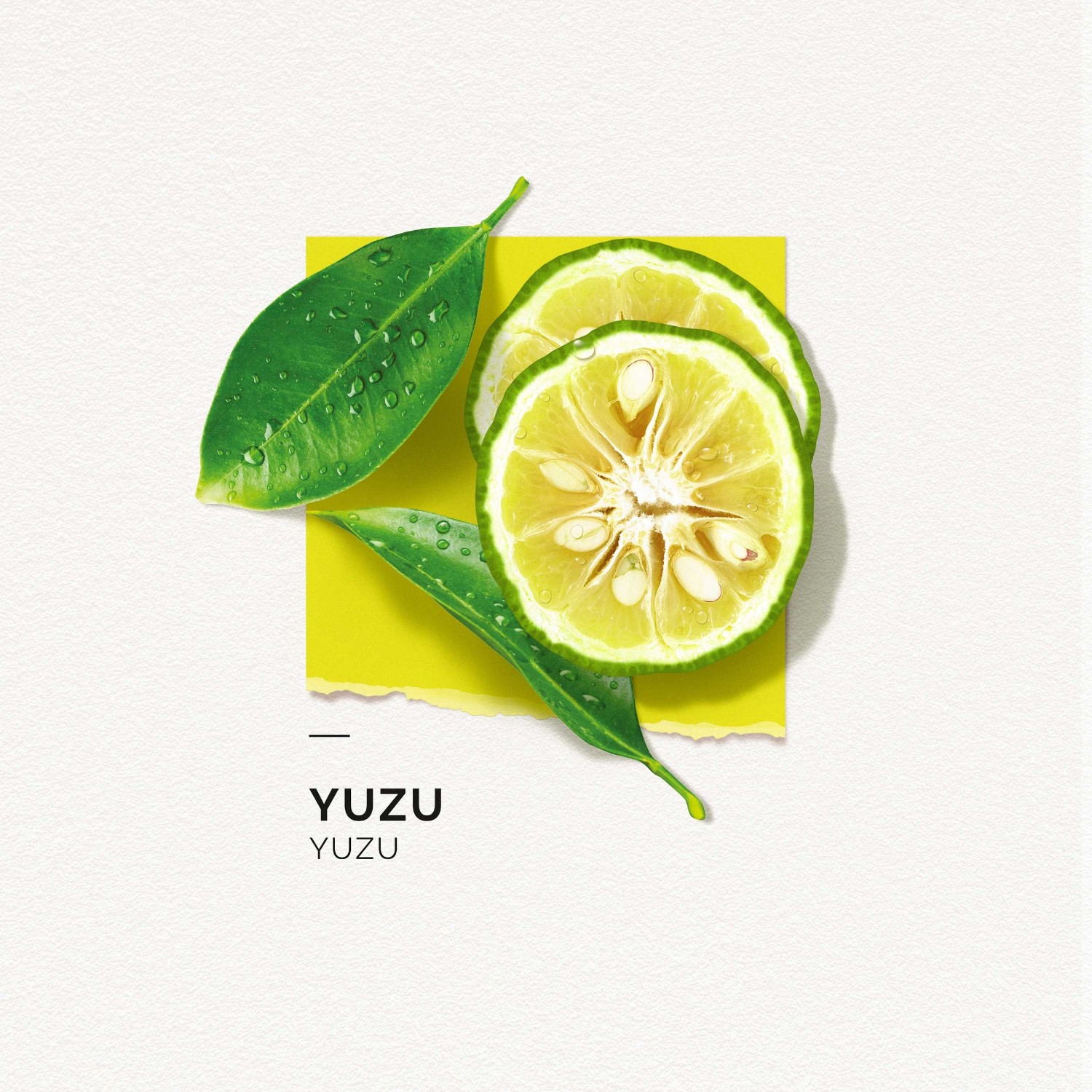 SOLINOTES Yuzu