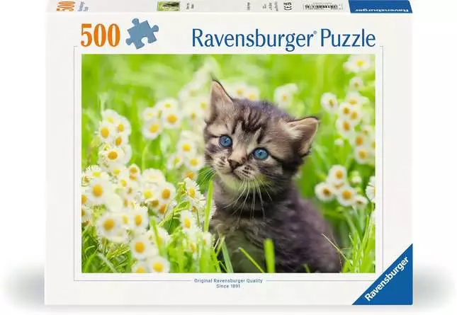 Puzzle 500 Teile - Kätzchen in der Wiese