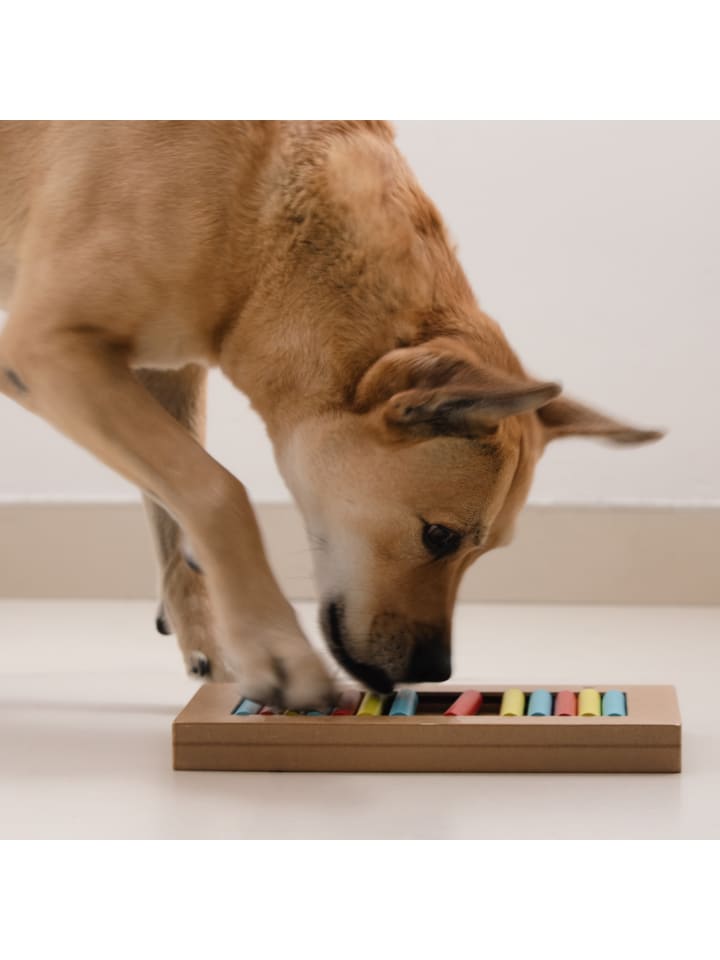 relaxdays Hunde-Intelligenzspielzeug in Bunt günstig kaufen onesize