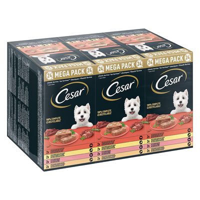 Megapack Cesar Schale 24 x 150 g