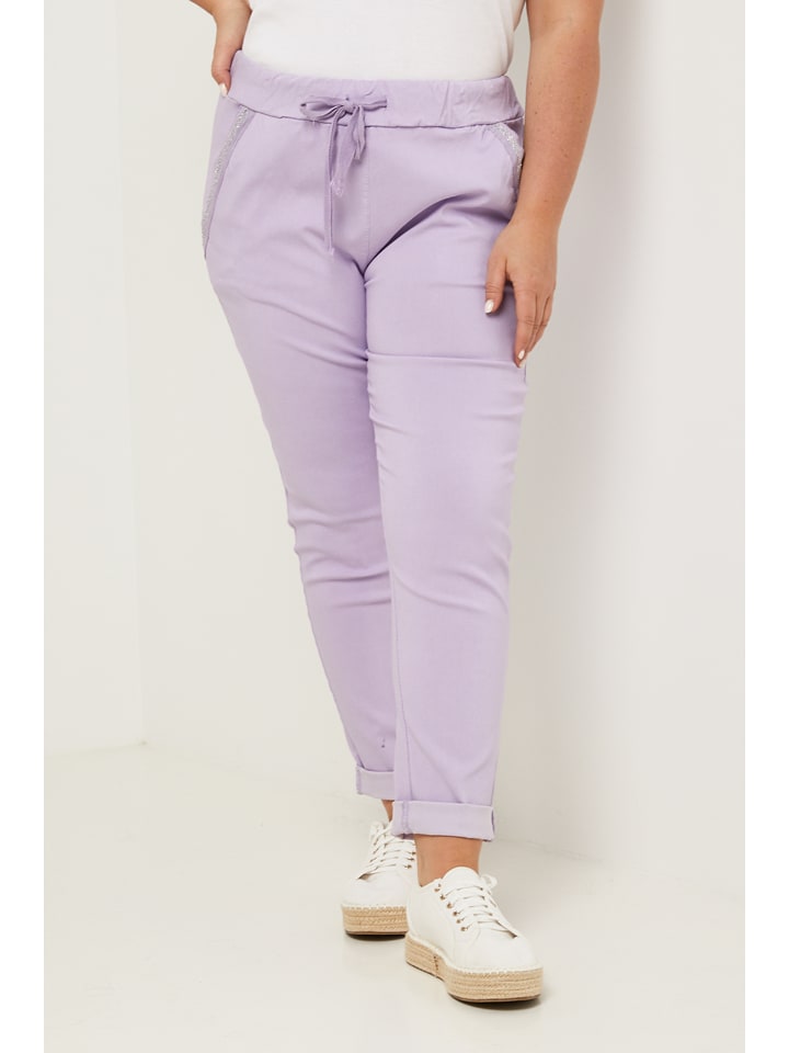 Curvy Lady Hose in Lila günstig kaufen