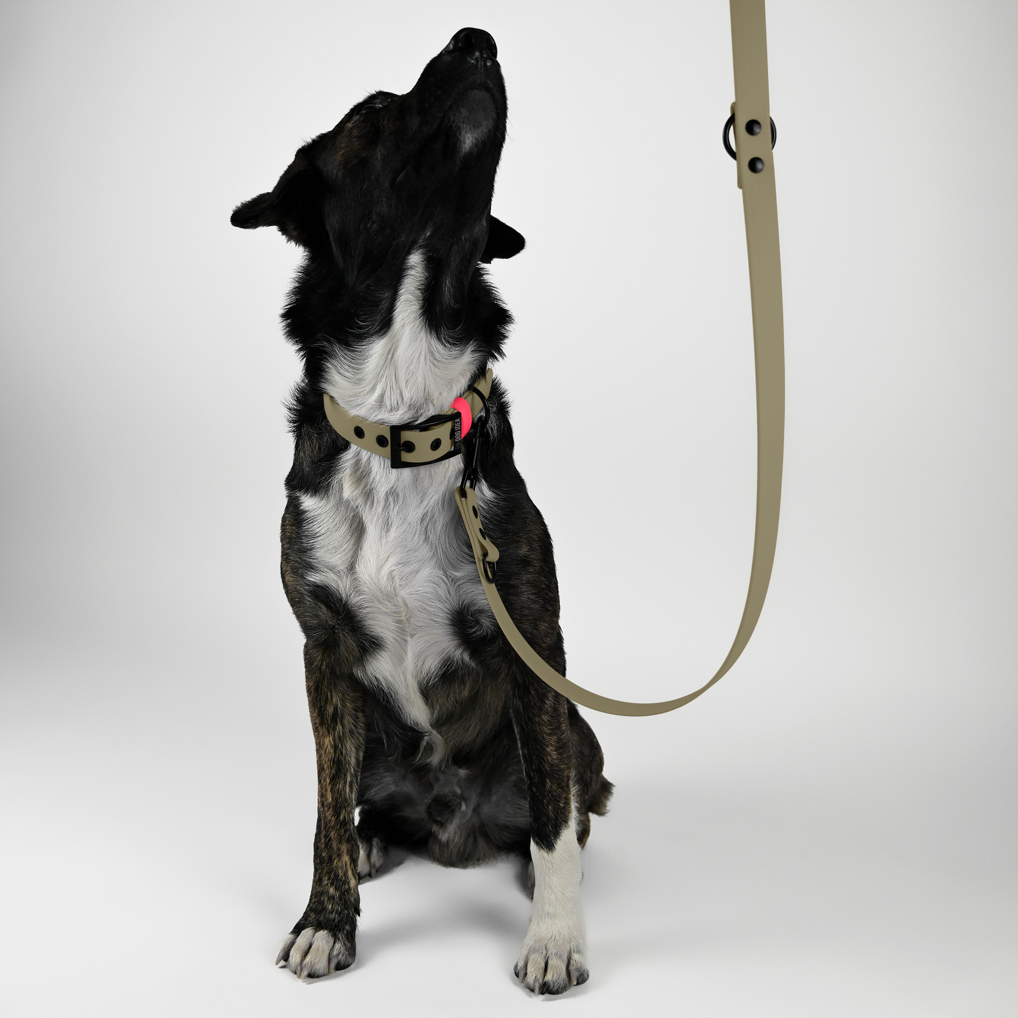 THE DOG IDEA Hundeleinen THE DOG IDEA Biothane Hundeleine Beige pink