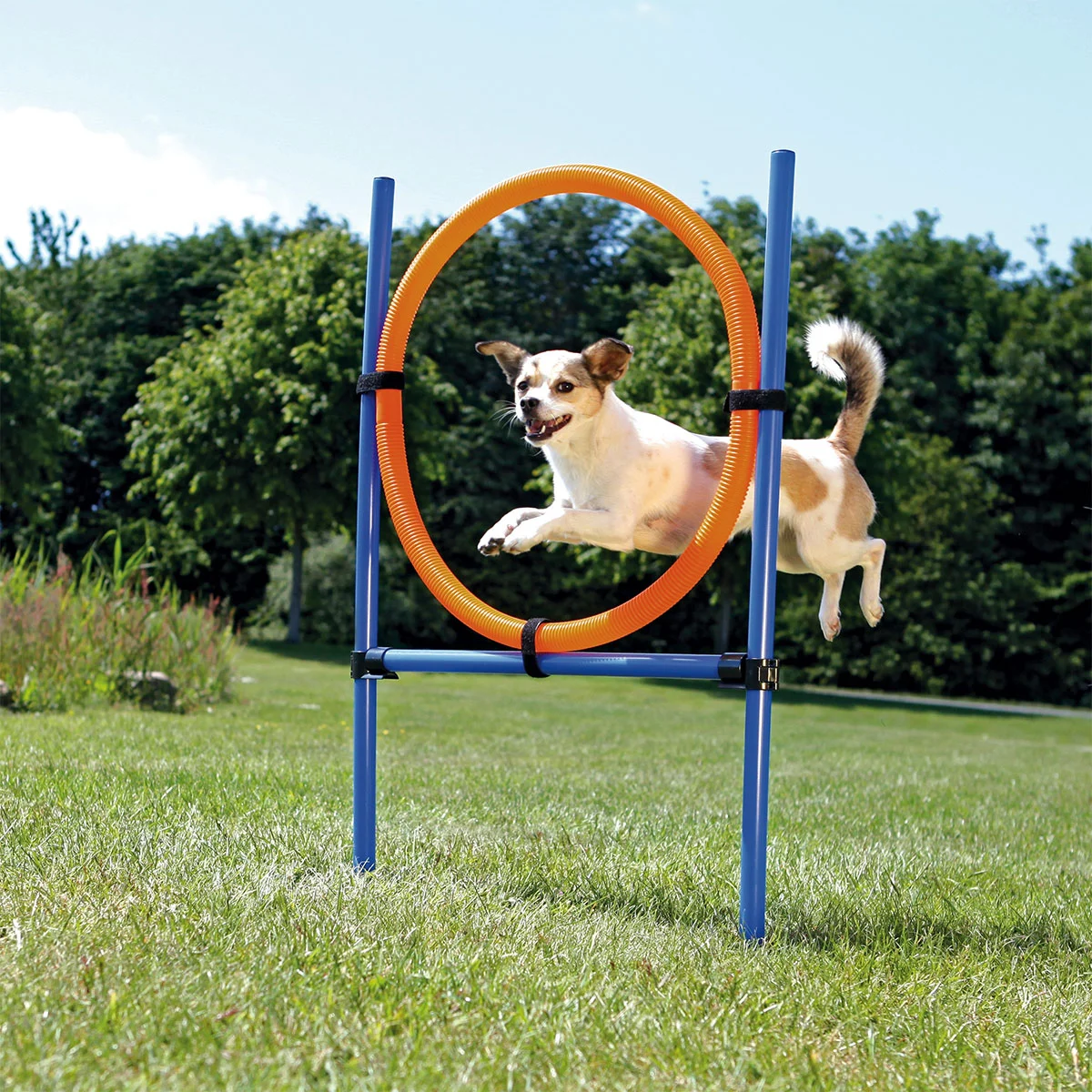 Trixie Dog Activity Agility Set vierteilig kaufen
