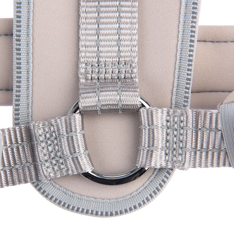 TIAKI Geschirr Neoprene, grau zu TOP-Preisen