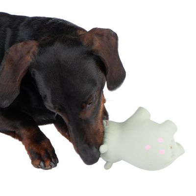 Hundespielzeug Latex Ralf