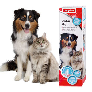 Beaphar Zahnpflege Beaphar Zahngel 100 ml