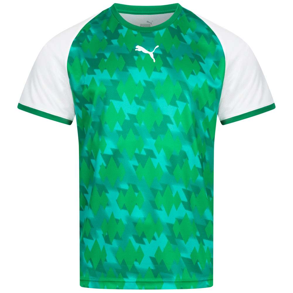 PUMA Herren Handball Trikot 764582-01