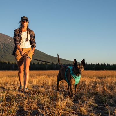 Ruffwear Front Range Hundegeschirr, Aurora Teal