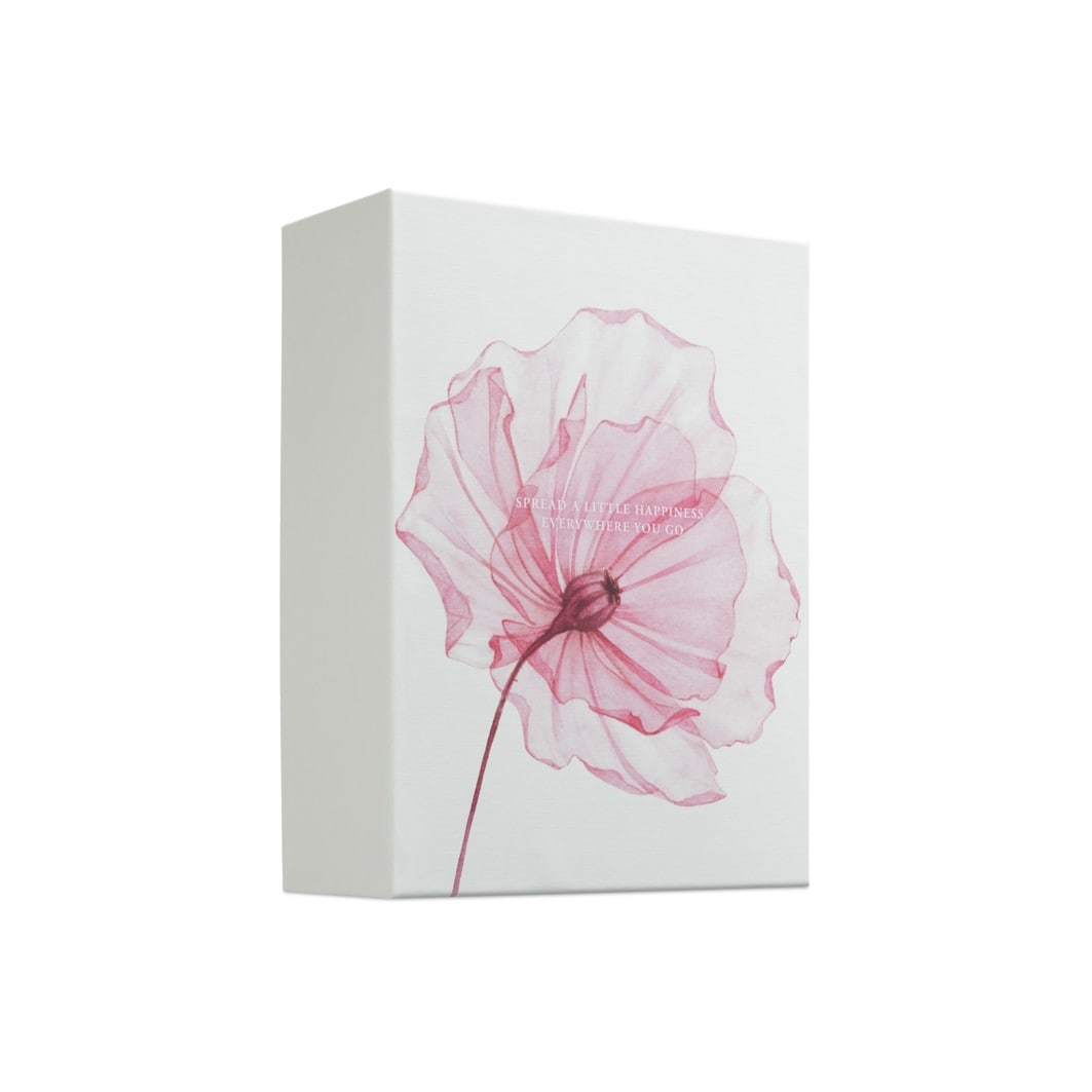 Cherry Blossom & Rice Milk Bath & Body Gift Set Large