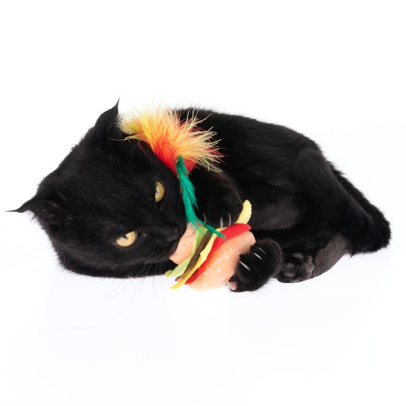 Katzenspielzeug Crinkle Burger mit Federn zu TOP-Preisen | bitiba