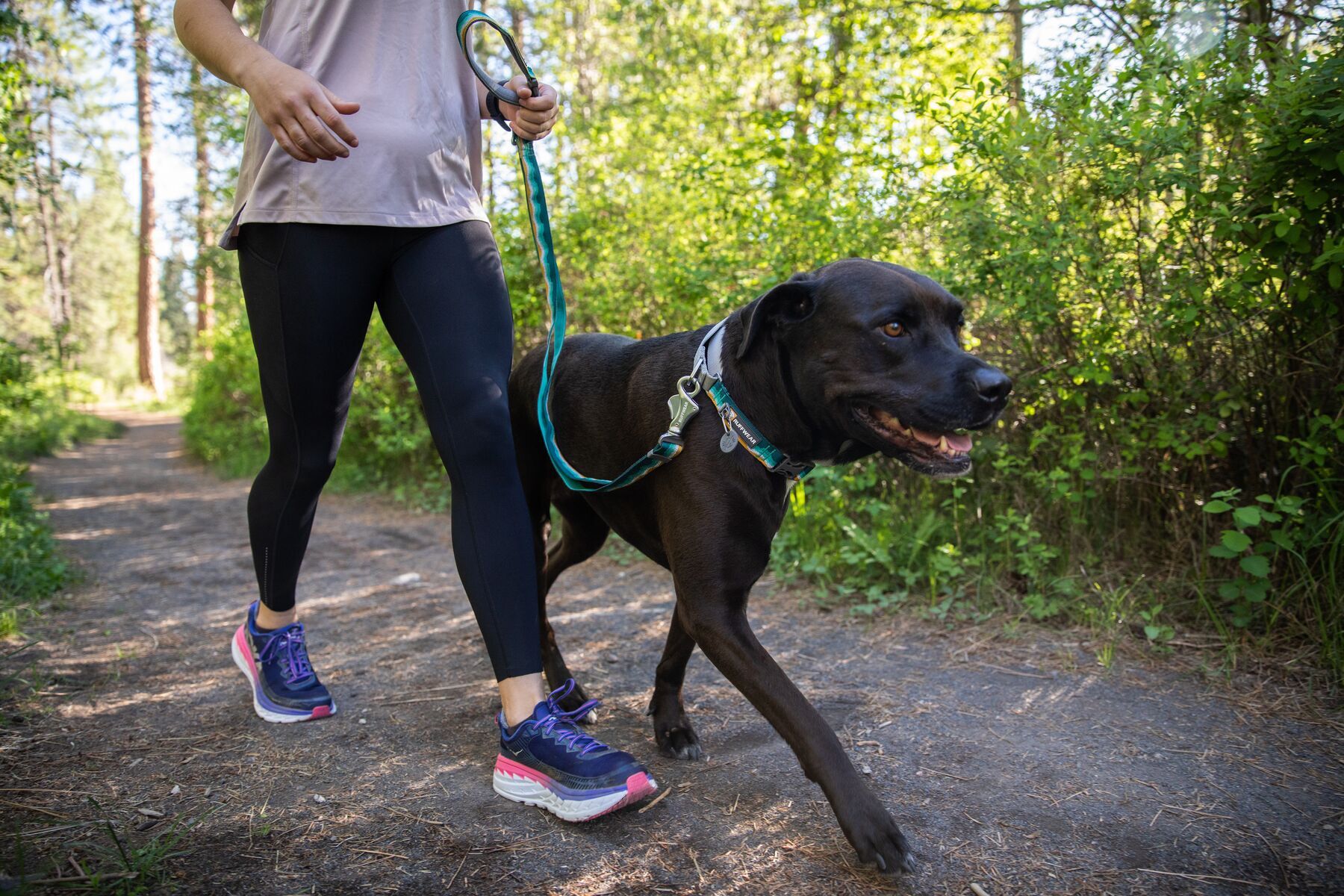 Ruffwear Hundehalsbänder Ruffwear Web Reaction™ Halsband grün L