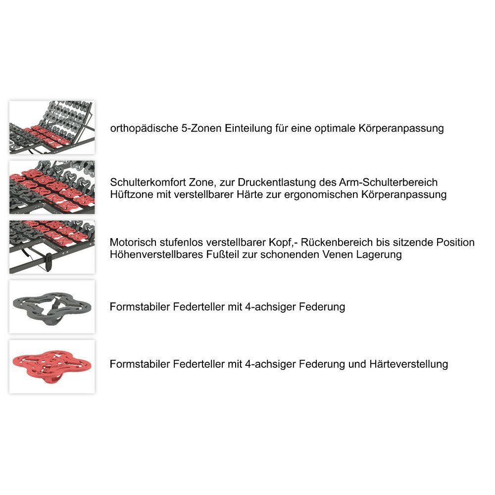 Tellerlattenrost elektrischer Tellerlattenrost TerraMed T-Flex, Matratzen Perfekt, Kopfteil elektrisch verstellbar, Fußteil elektrisch verstellbar, Tellerrahmen mit verstellbarer Härte im mittleren Bereich