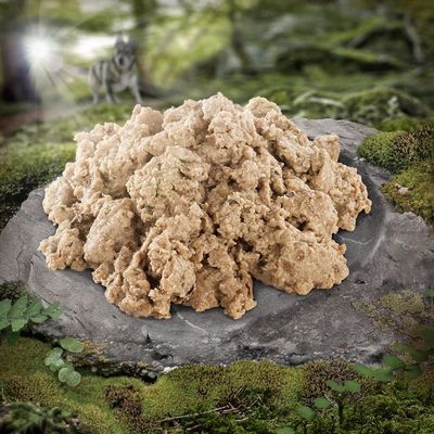 Wolf of Wilderness Adult 6 x 400 g - Single Protein