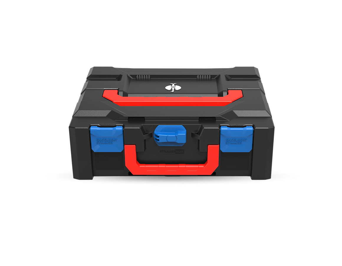 STRAUSSbox 145 midi+ Color