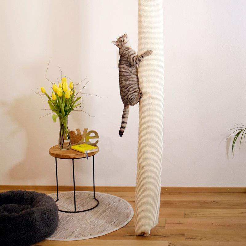 Kerbl Pet Klettersack Climber für Katzen zu TOP-Preisen | bitiba