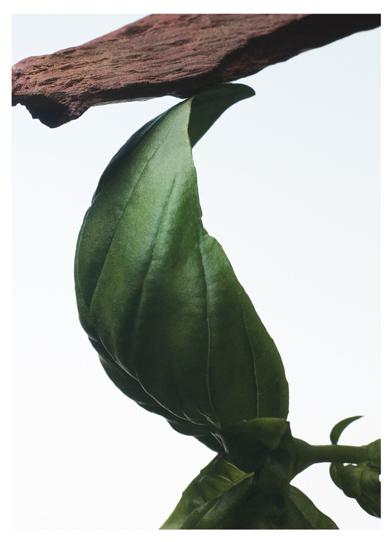 Dries Van Noten Crazy Basil Eau de Parfum