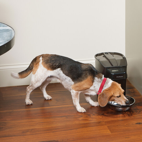 Healthy Pet Simply Feed Programmierbarer digitaler Futterautomat